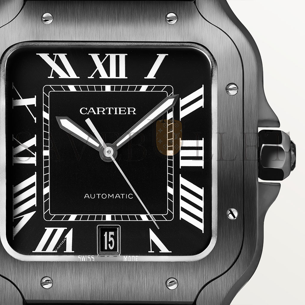 Ca*t*er santos de watch wssa0039
